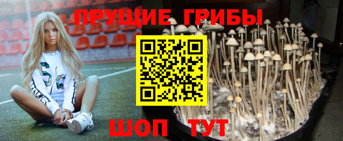 Осинники  Псилоцибиновые грибы Magic Shrooms  Вход с VPN 