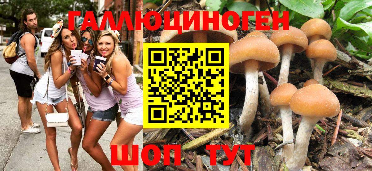 Галлюциногенные грибы мухоморы Осинники